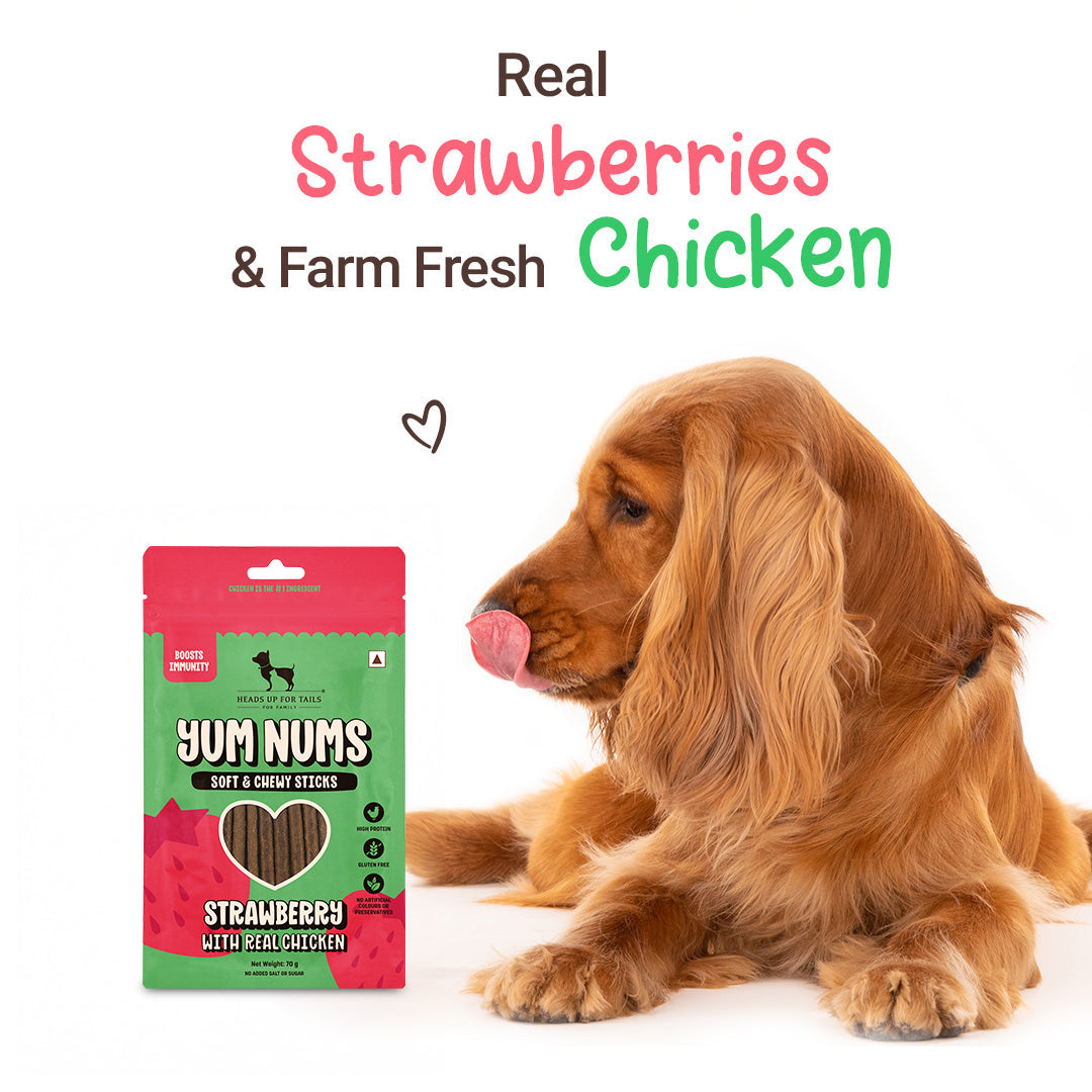 HUFT Yum Nums Soft & Chewy Sticks Strawberry with Real Chicken Treat For Dogs - 70g