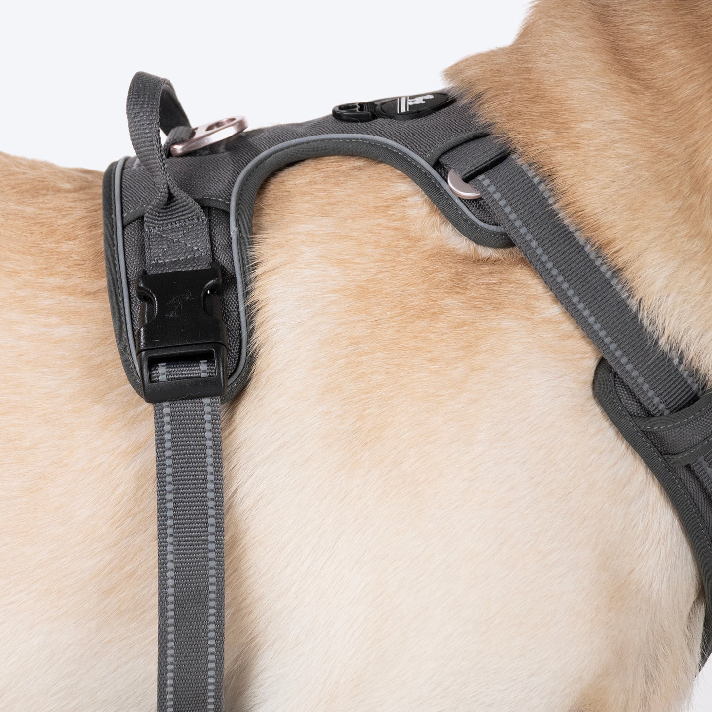 HUFT Xplorers Harness For Dog - Grey