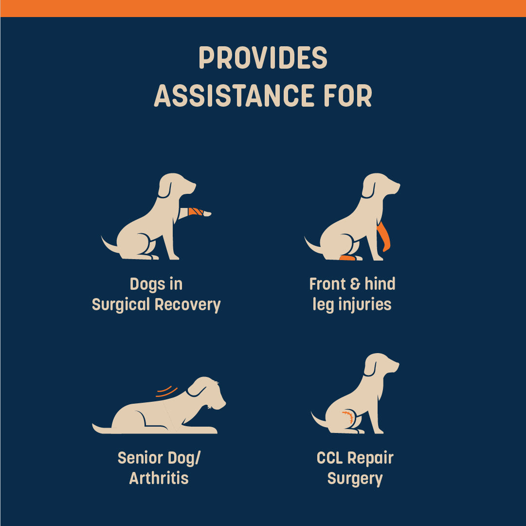 HUFT Trooper Mid-Body (Belly) Support Lift Harness For Dogs - Navy Blue