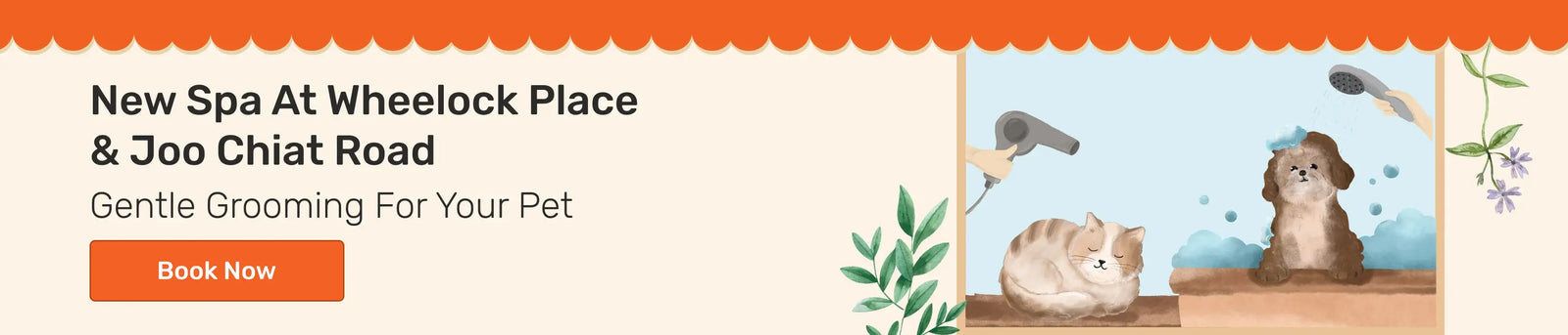 Featured banner
