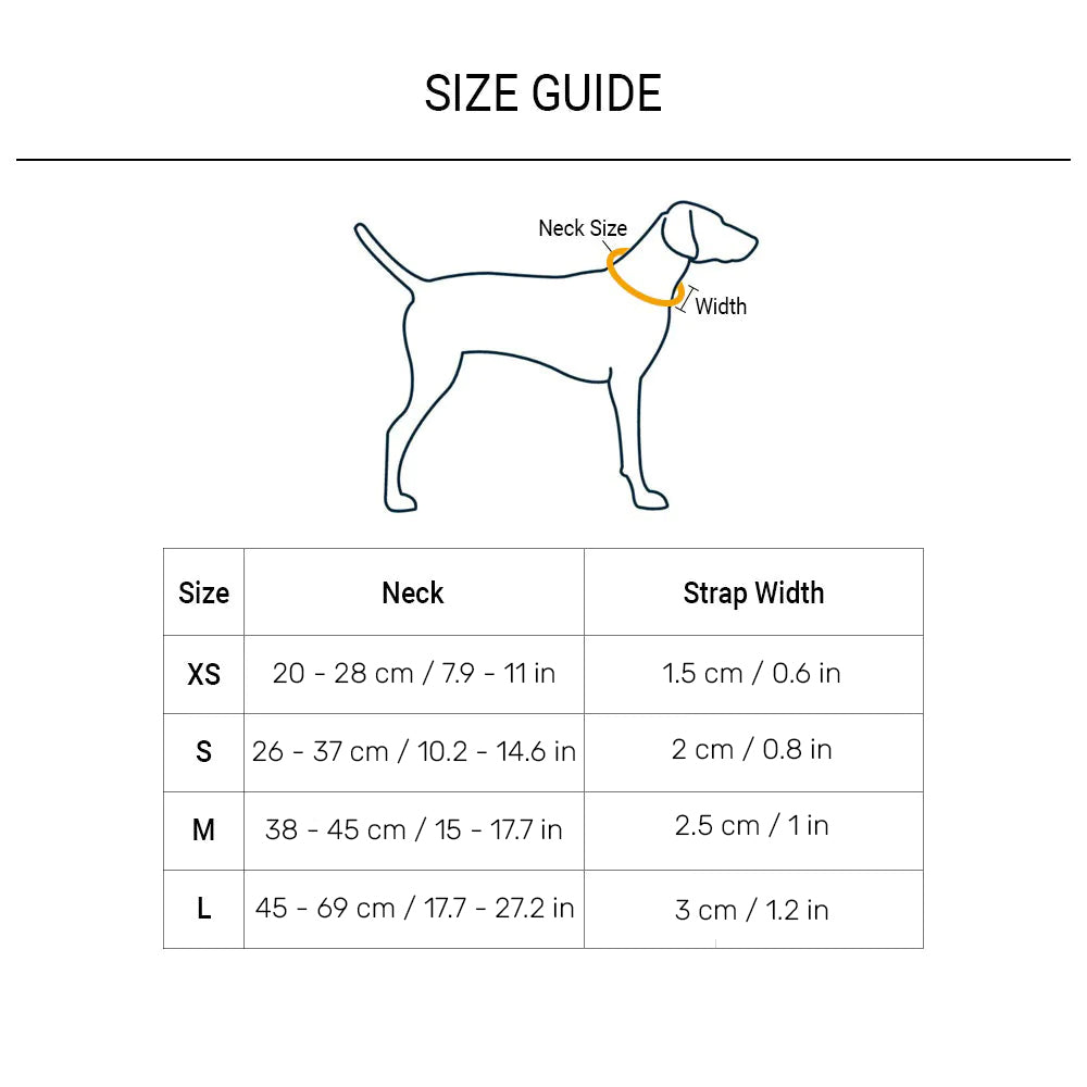 HUFT Basics Dog Collar - Pink_04