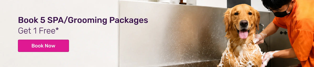 Featured banner