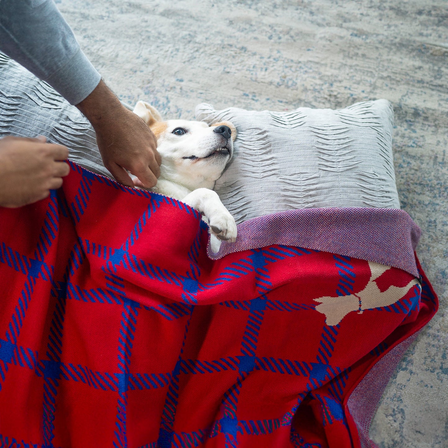 HUFT Warm Hug Blanket For Pets - Red & Navy Blue - Heads Up For Tails