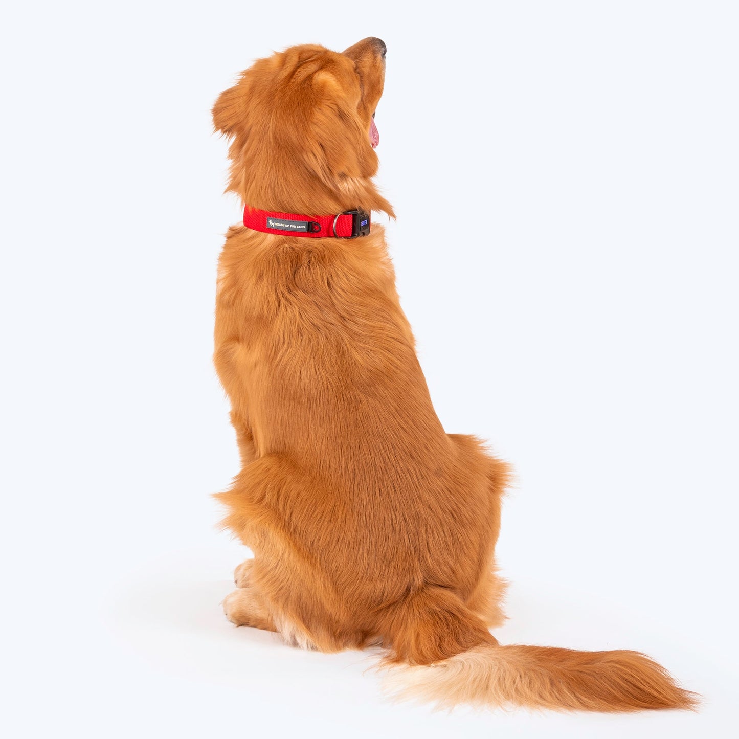 HUFT Basics Dog Collar - Crimson Red - Heads Up For Tails