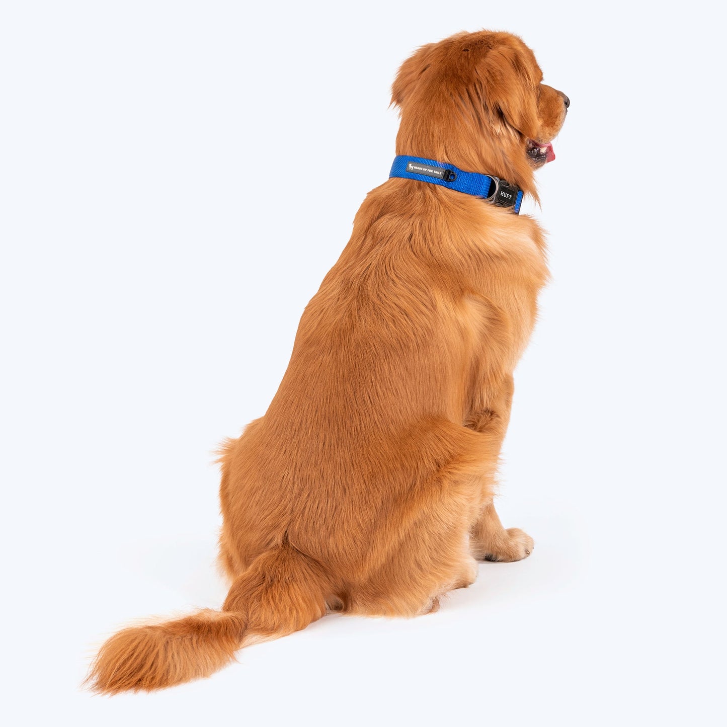 HUFT Basics Dog Collar - Cobalt Blue - Heads Up For Tails