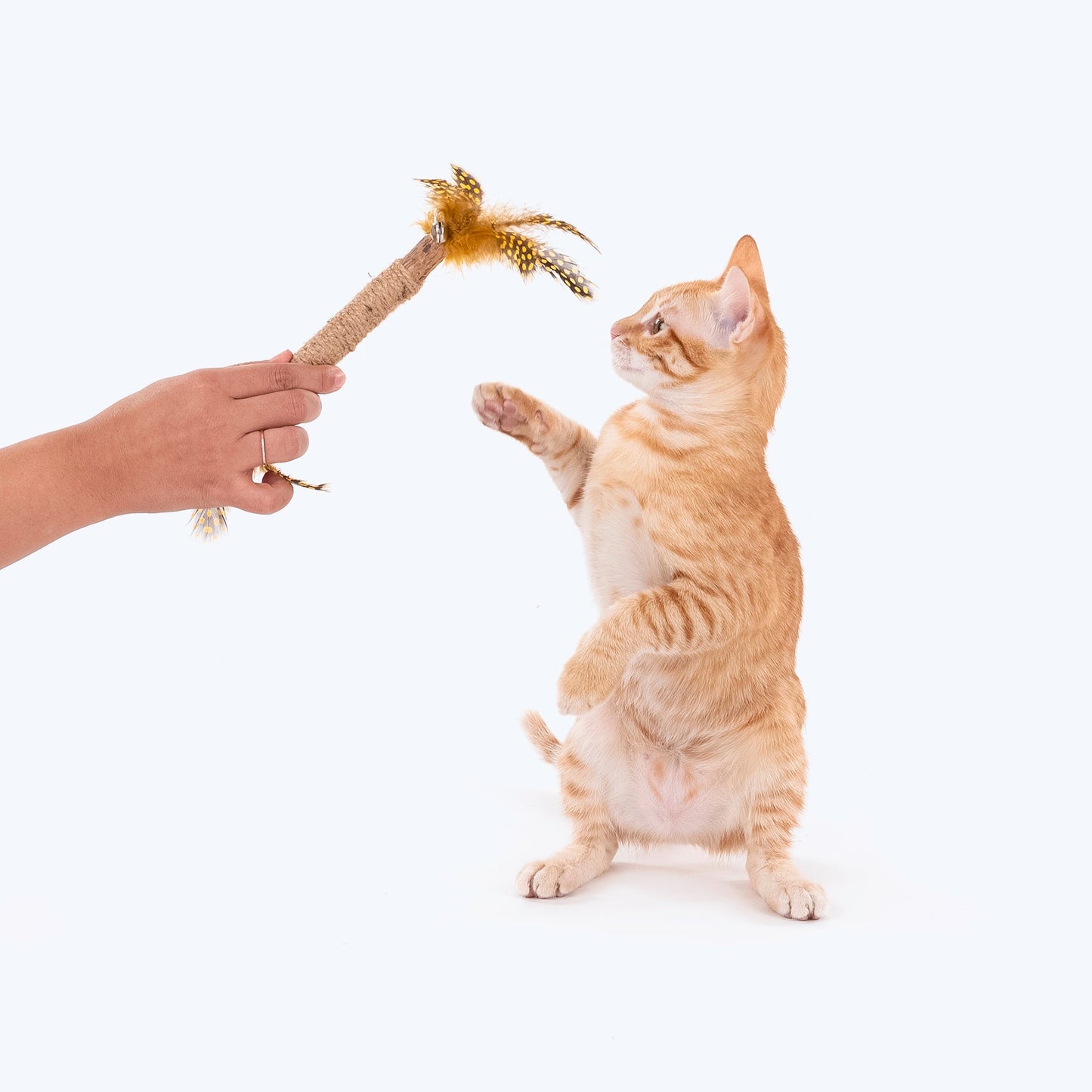 HUFT Whisker Wand With Feathers & Bell Interactive Cat Toy_07