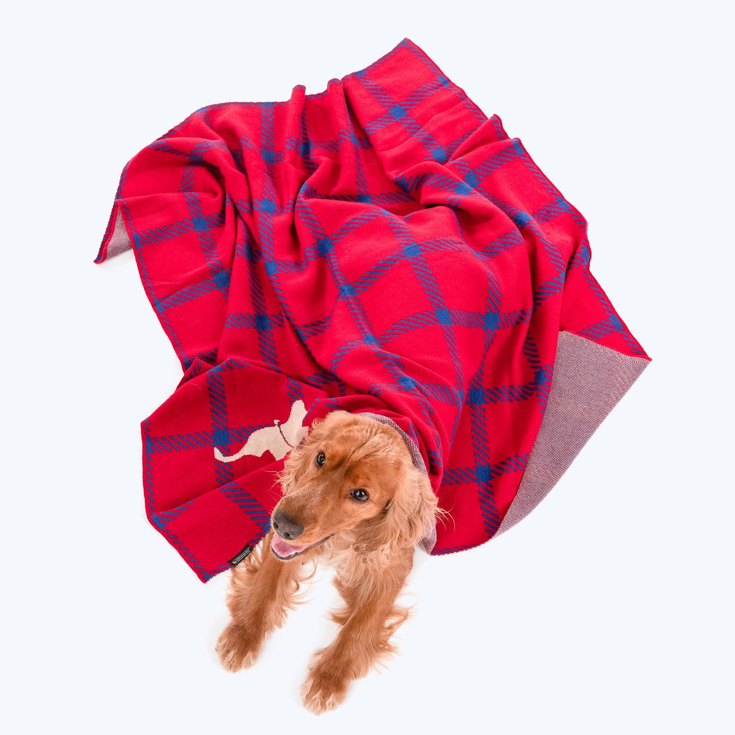 HUFT Warm Hug Blanket For Pets - Red & Navy Blue - Heads Up For Tails