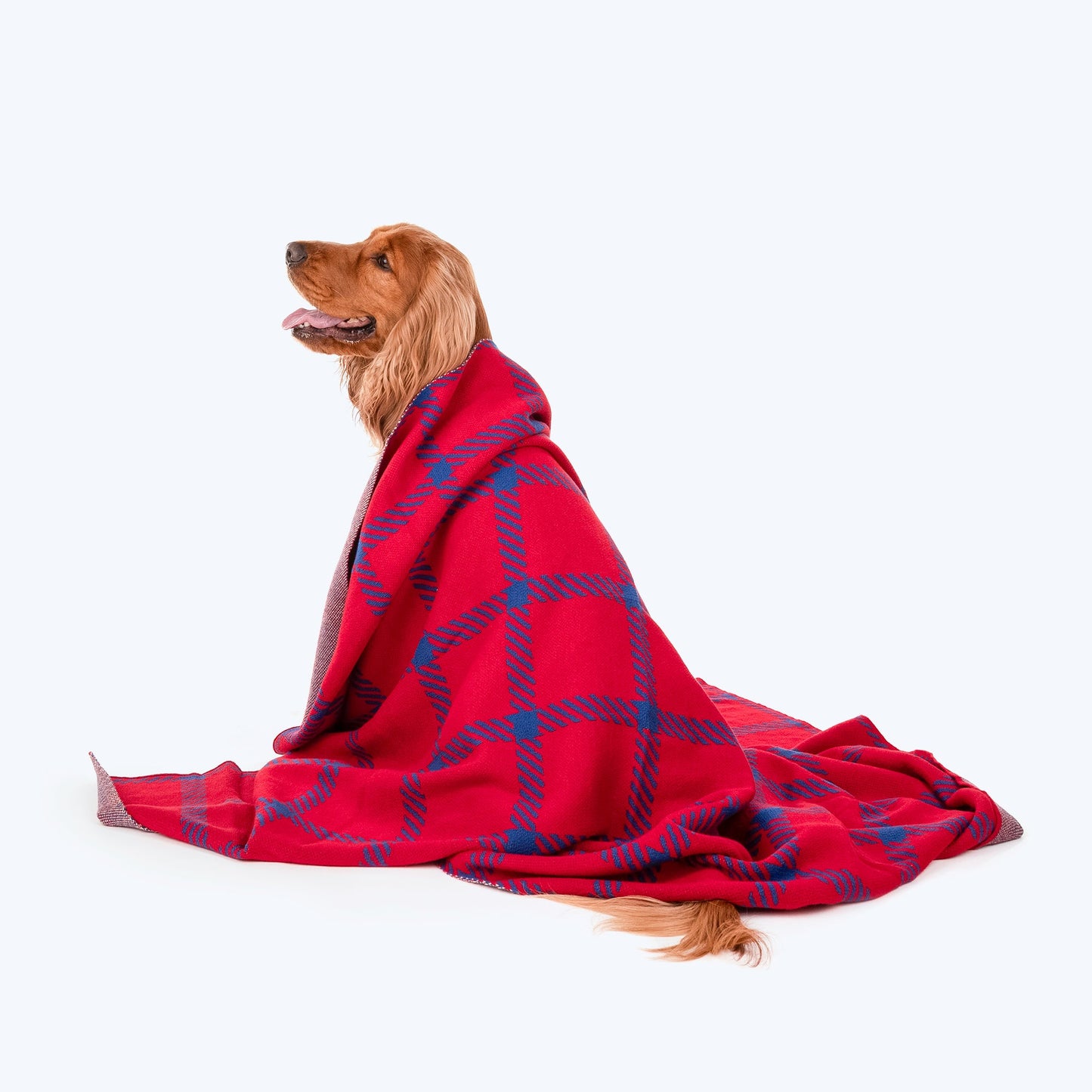 HUFT Warm Hug Blanket For Pets - Red & Navy Blue - Heads Up For Tails