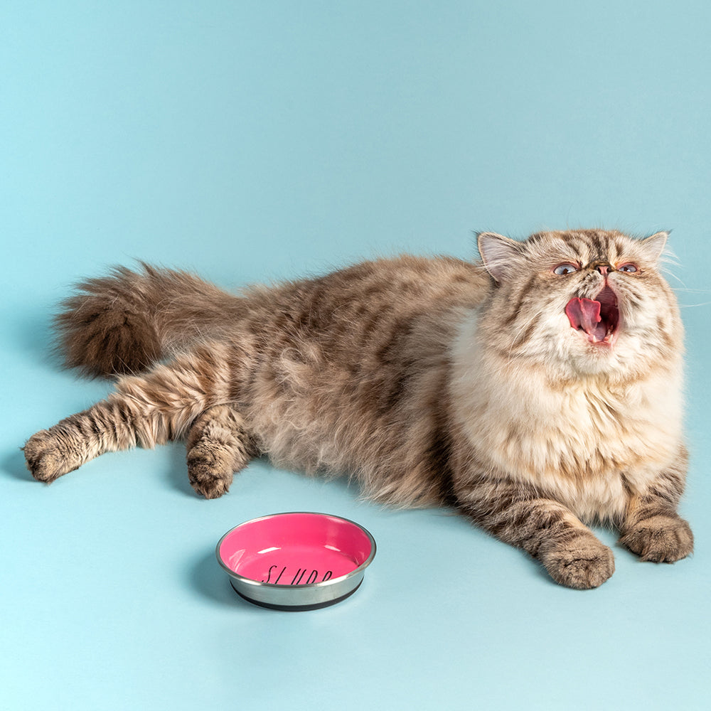 HUFT Cutest Collection Slurp Kitten Bowl - Pink - Heads Up For Tails