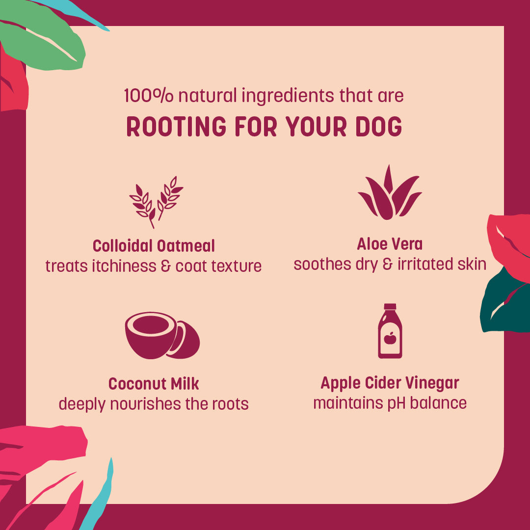 HUFT Natural Itch Relief Oatmeal Shampoo For Dogs - Apple Cider Vinegar & Aloe Vera - Heads Up For Tails