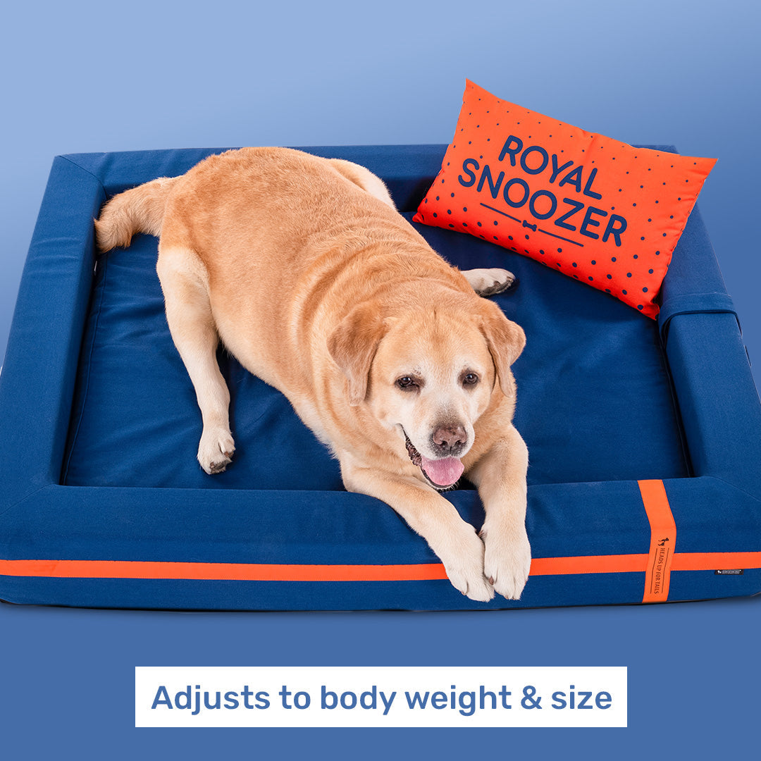 HUFT Royal Snooze Bed for Dog - Navy - Heads Up For Tails