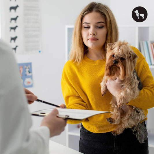 Pet Insurance Plans in Singapore