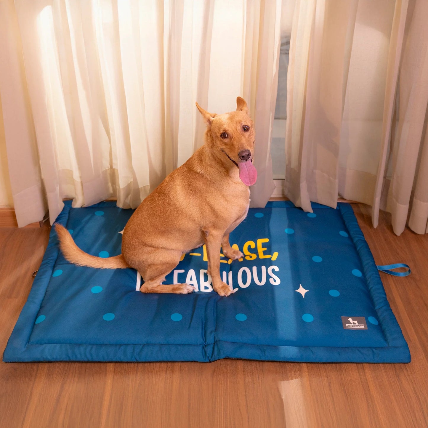 HUFT Pawlease I'm Fabulous Mat For Dog - Teal Blue