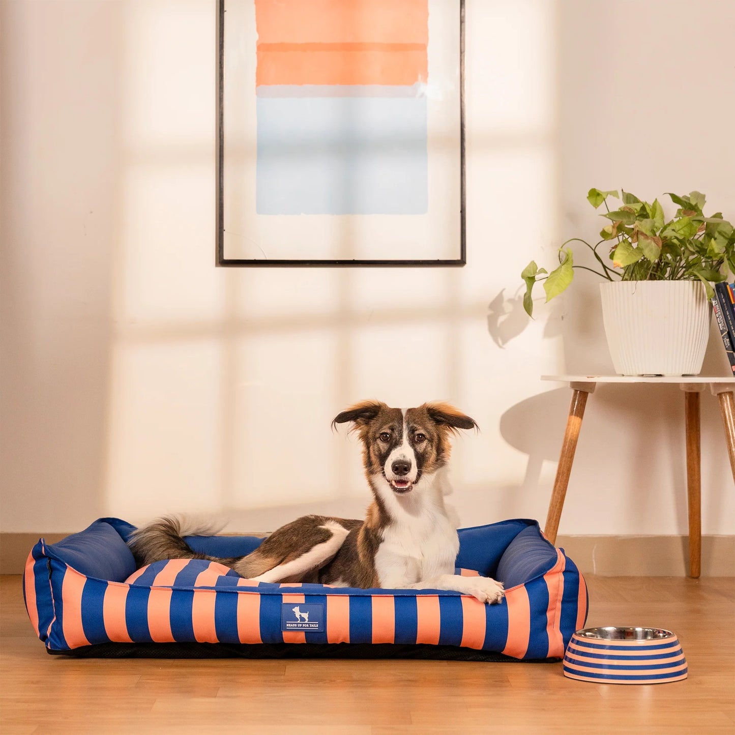 HUFT Happy Stripes Lounger Bed For Dog - Navy & Peach