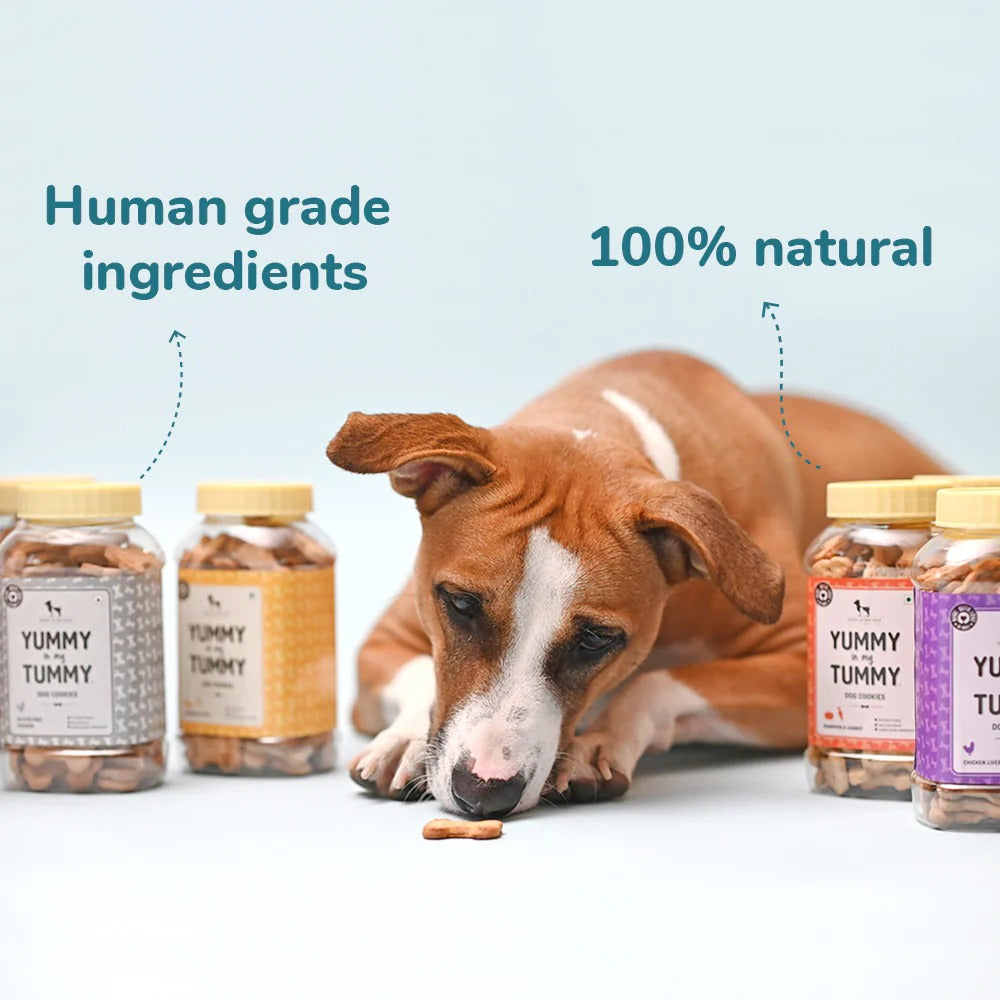 HUFT YIMT Banana & Oats Vegetarian Dog Biscuits