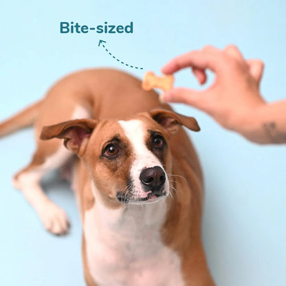 HUFT YIMT Pumpkin & Carrots Vegetarian Dog Biscuits