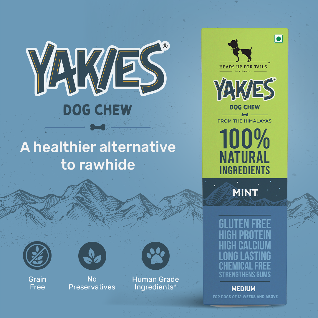 HUFT Yakies Vegetarian Natural Chew Bone - Mint - 55g – HUFT SG