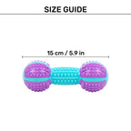 Dash Dog Gnaw & Go Squeaky Toy For Dog - Purple & Blue