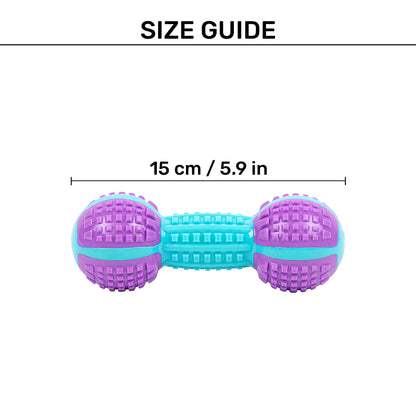 Dash Dog Gnaw & Go Squeaky Toy For Dog - Purple & Blue