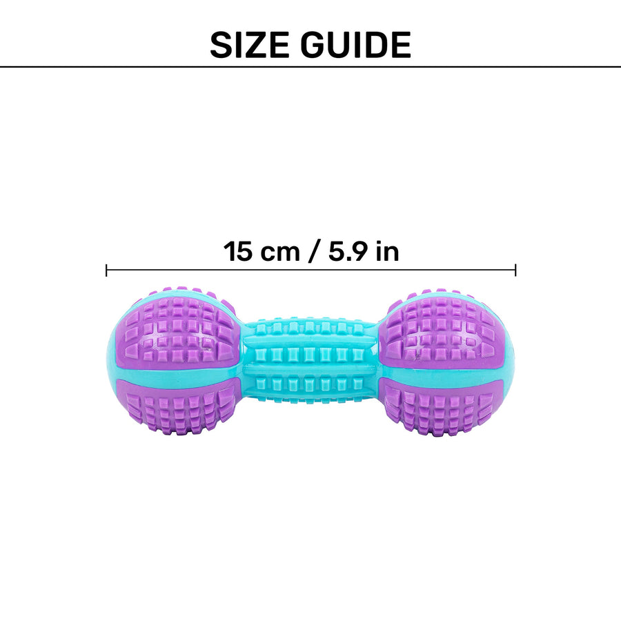 Dash Dog Gnaw & Go Squeaky Toy For Dog - Purple & Blue