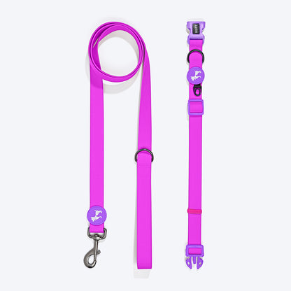 HUFT Hive Harmony Waterproof Collar And Leash Set For Dog - Purple