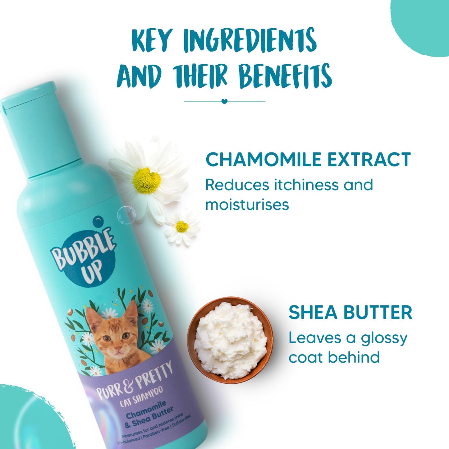 Bubble Up Cat Shampoo - Chamomile & Shea Butter - 200 ml