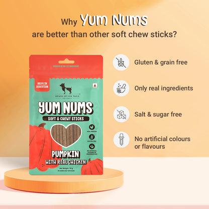 HUFT Yum Nums Pumpkin With Real Chicken Soft & Chewy Sticks Treat For Dogs - 70g