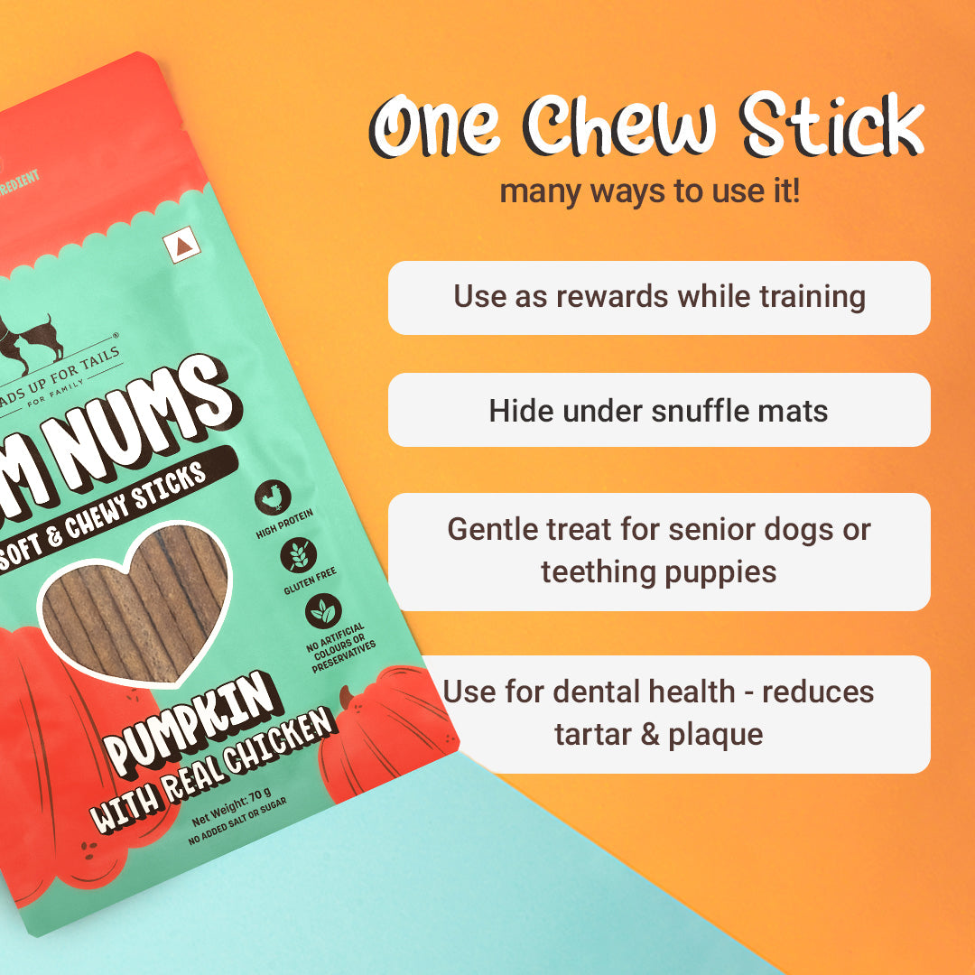 HUFT Yum Nums Pumpkin With Real Chicken Soft & Chewy Sticks Treat For Dogs - 70g