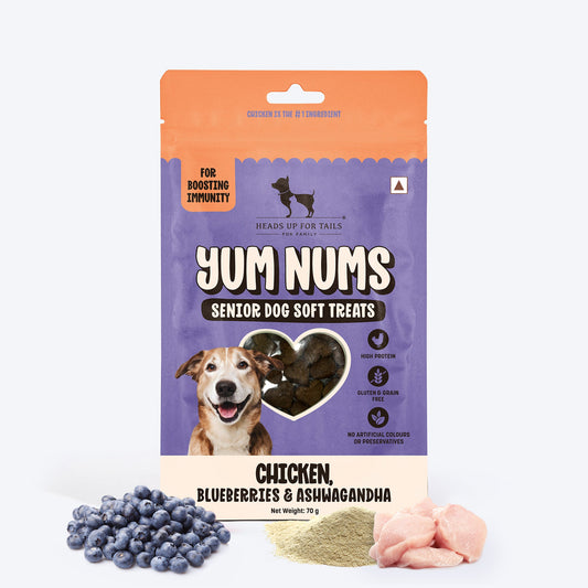 HUFT Yum Nums Chicken, Blueberries & Ashwagandha Soft Treat For Senior Dog - 70 g