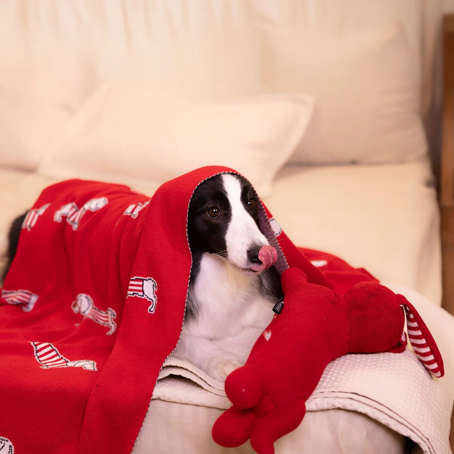 HUFT Stripes & Snouts Blanket With Cushion For Dog - Red - L