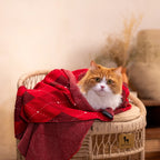 HUFT Cuddle Checks Blanket For Dog & Cat - Red