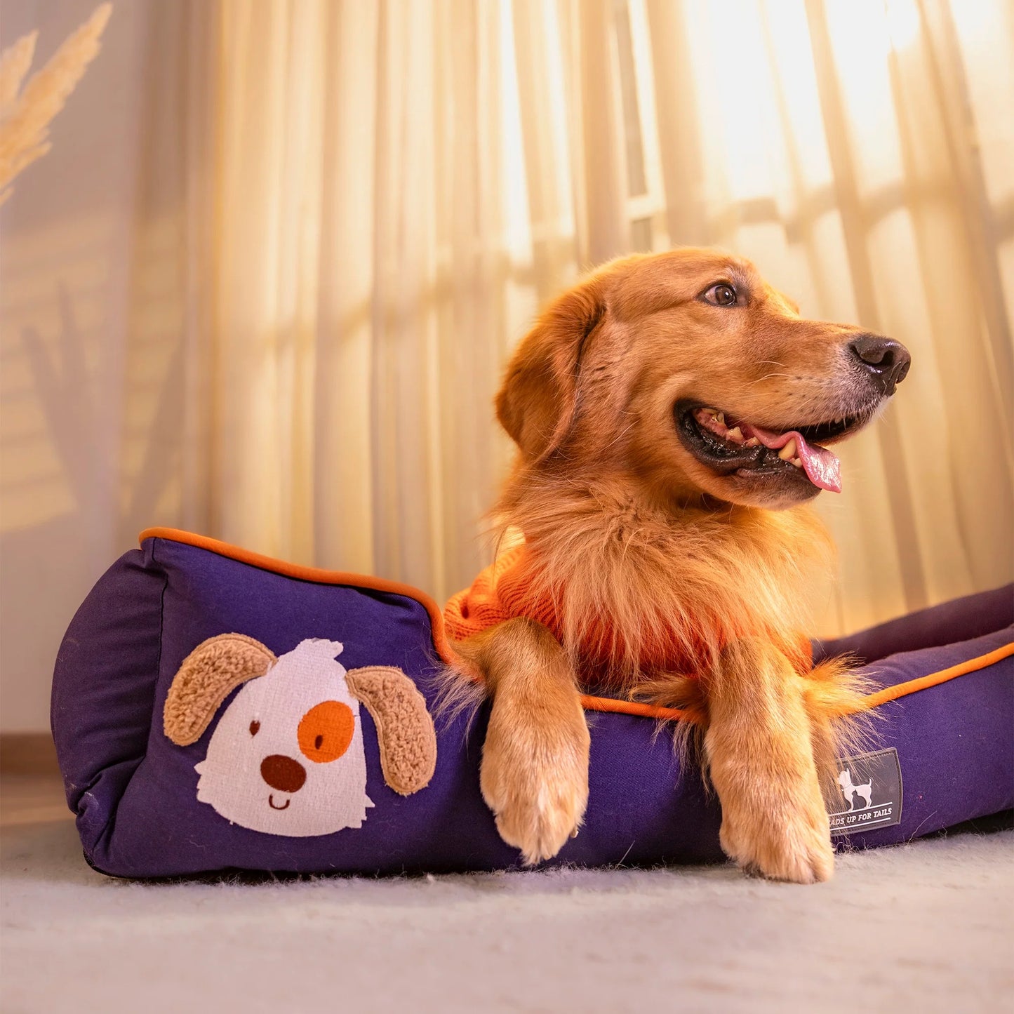 HUFT Woofie Classic Lounger Bed For Dog - Blue & Orange