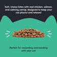 Meowsi By HUFT Catnip With Salmon & Chicken Soft Cat Treats - 50 gm
