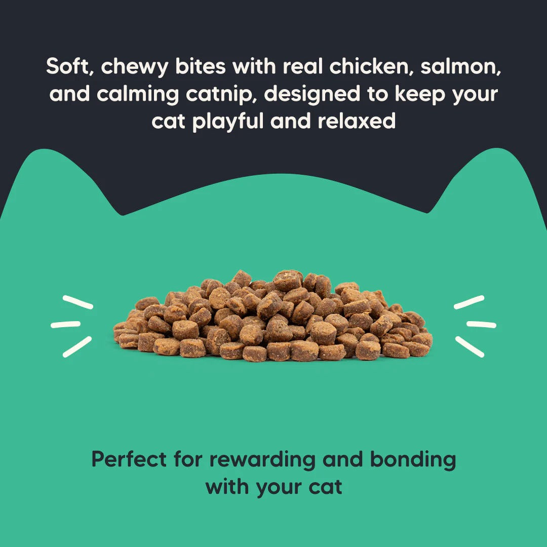 Meowsi By HUFT Catnip With Salmon & Chicken Soft Cat Treats - 50 gm