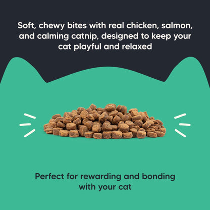 Meowsi By HUFT Catnip With Salmon & Chicken Soft Cat Treats - 50 gm