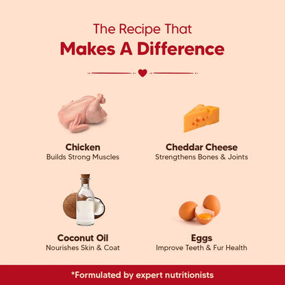 Hearty Chicken & Cheddar Cheese Healthy Dog Biscuits - 320 gm