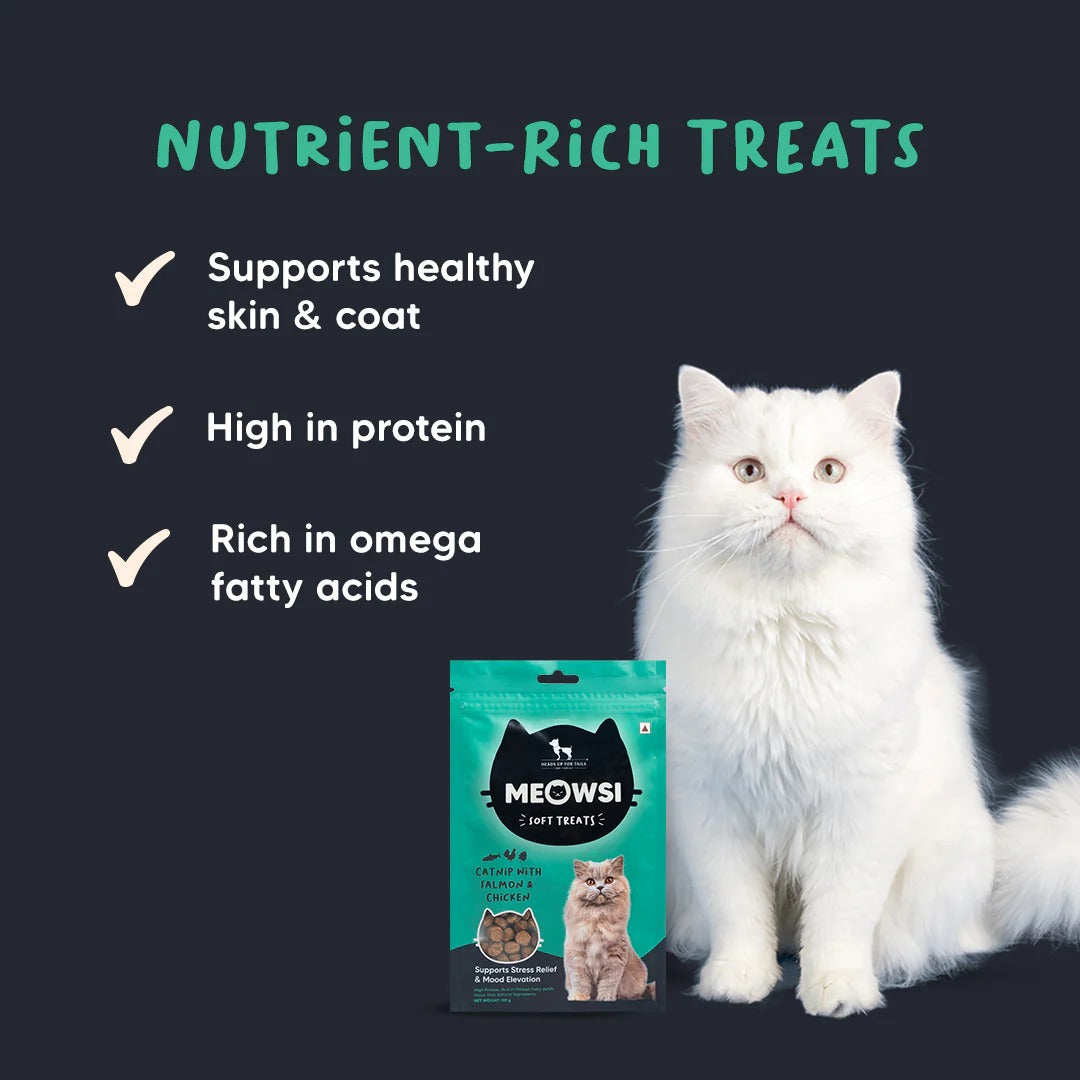 Meowsi By HUFT Catnip With Salmon & Chicken Soft Cat Treats - 50 gm