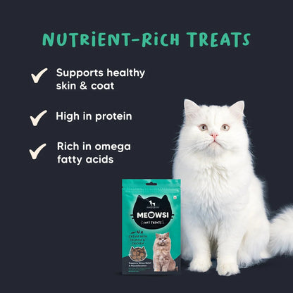 Meowsi By HUFT Catnip With Salmon & Chicken Soft Cat Treats - 50 gm