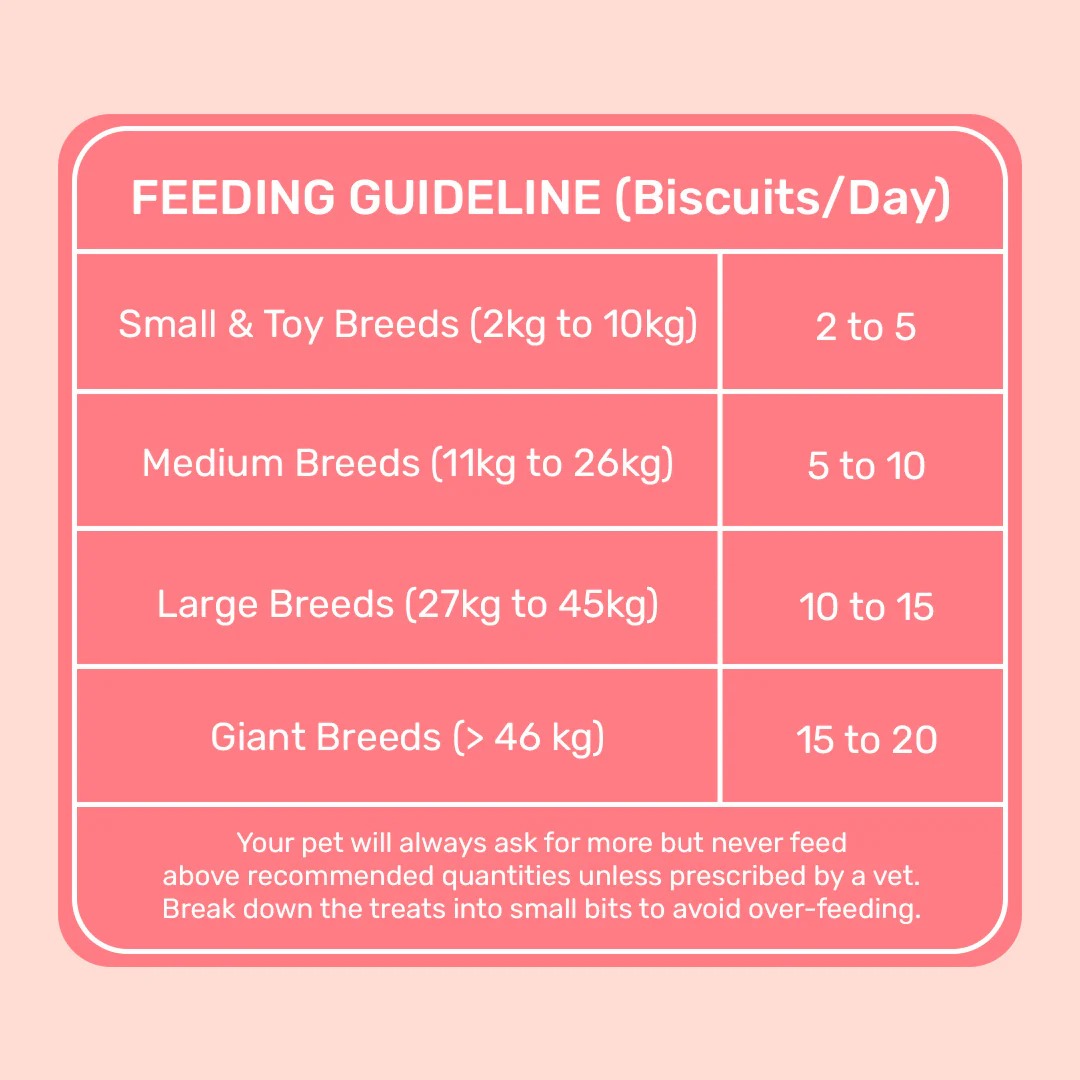 HUFT YIMT Apple & Cinnamon Vegetarian Dog Biscuits