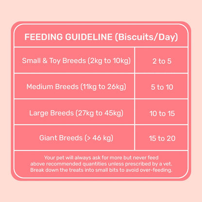 HUFT YIMT Apple & Cinnamon Vegetarian Dog Biscuits