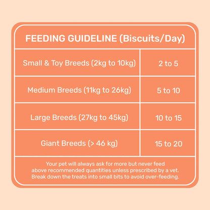 HUFT YIMT Pumpkin & Carrots Vegetarian Dog Biscuits