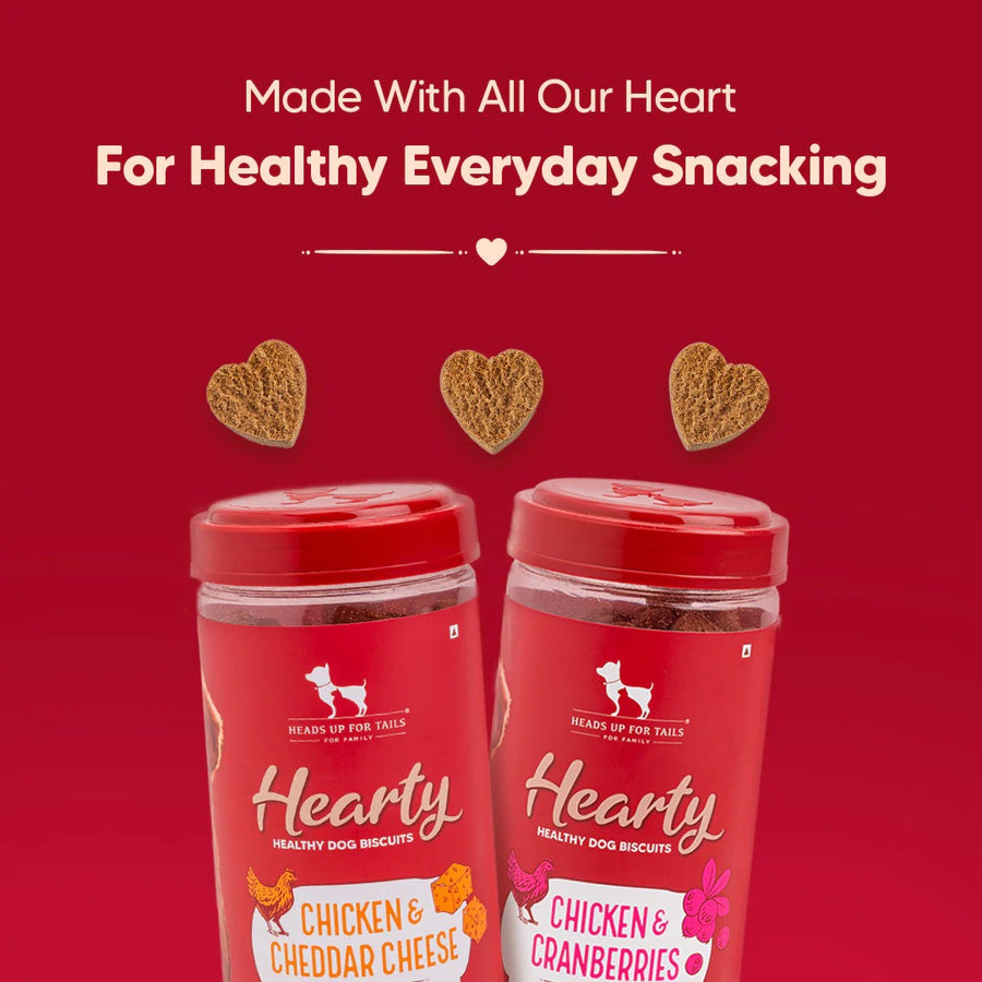 Hearty Chicken & Cheddar Cheese Healthy Dog Biscuits - 320 gm
