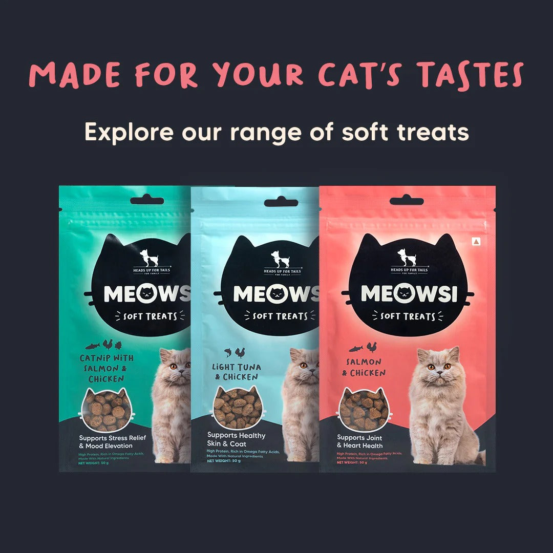 Meowsi By HUFT Salmon & Chicken Soft Cat Treats - 50 gm