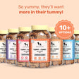 HUFT YIMT Pumpkin & Carrots Vegetarian Dog Biscuits