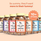 HUFT YIMT Pumpkin & Carrots Vegetarian Dog Biscuits