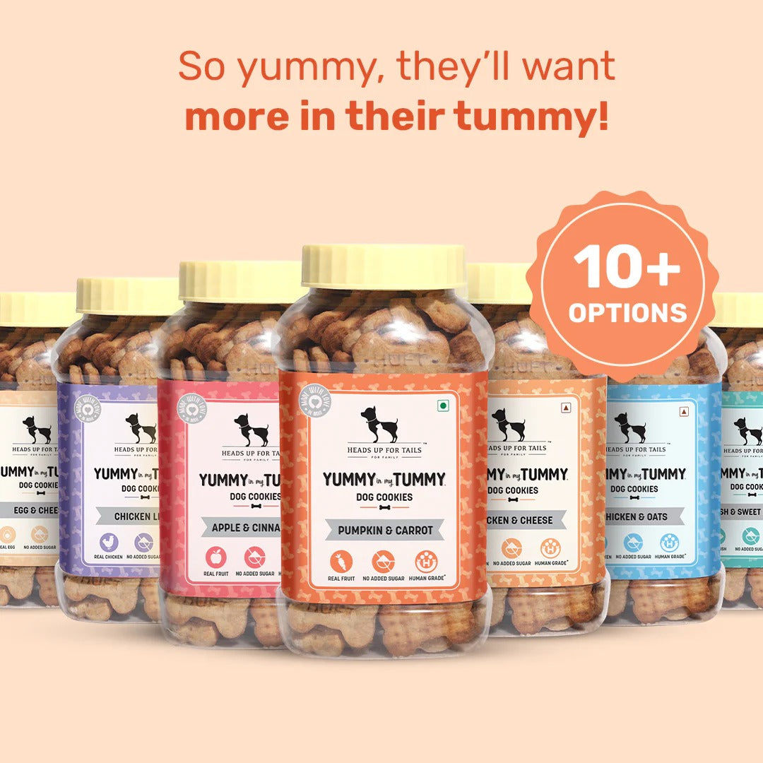 HUFT YIMT Pumpkin & Carrots Vegetarian Dog Biscuits