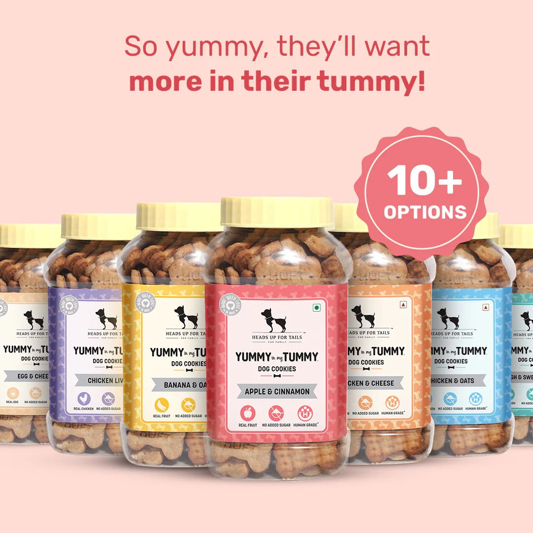 HUFT YIMT Apple & Cinnamon Vegetarian Dog Biscuits