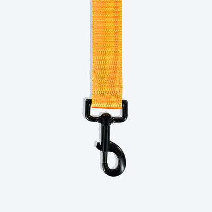 HUFT Basics Dog Leash - Yellow - Heads Up For Tails