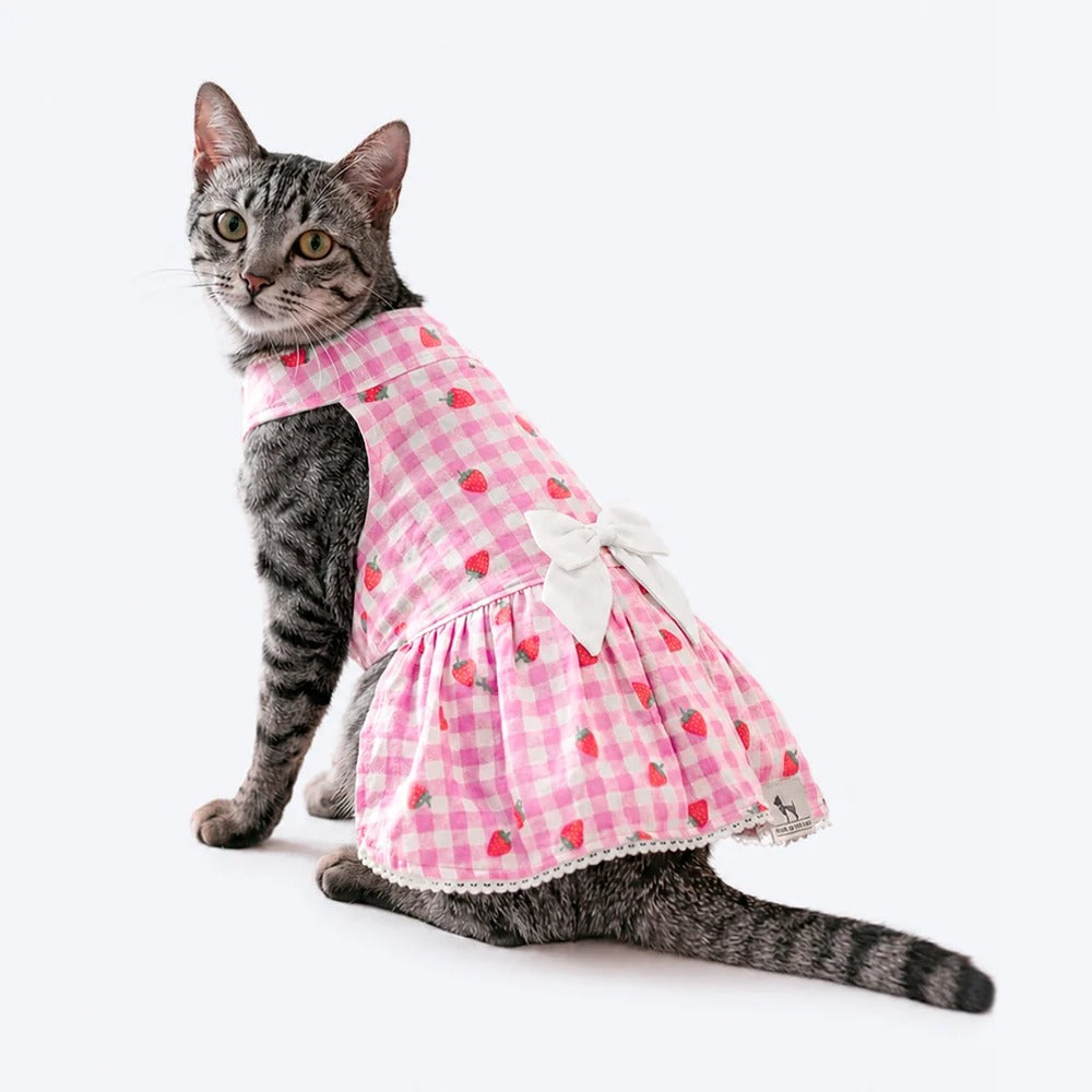 HUFT Berry Burst Dress For Cat - Pink