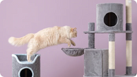 Cat Posts